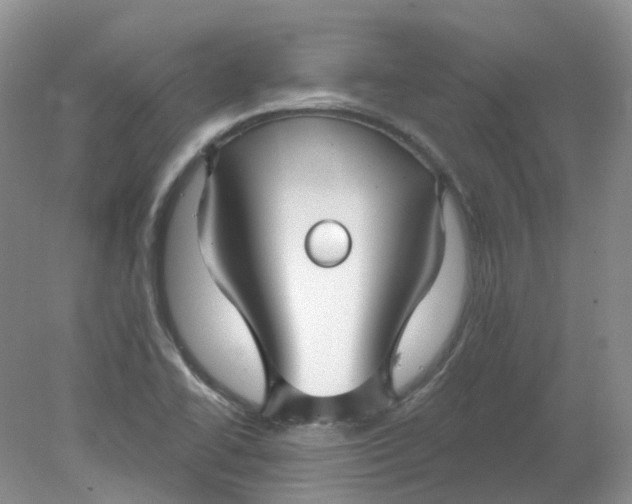 X0000078311414200611172203