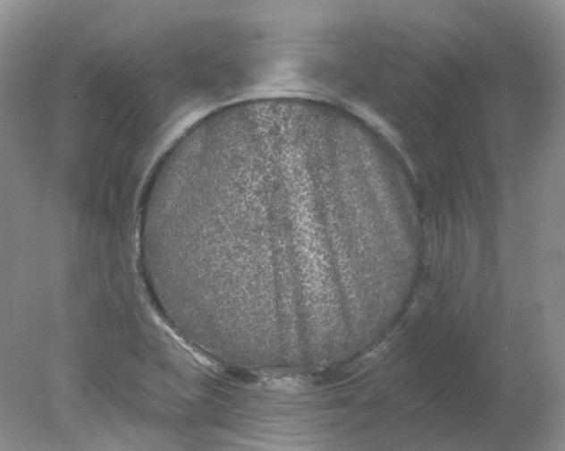 X0000078311415200611172203