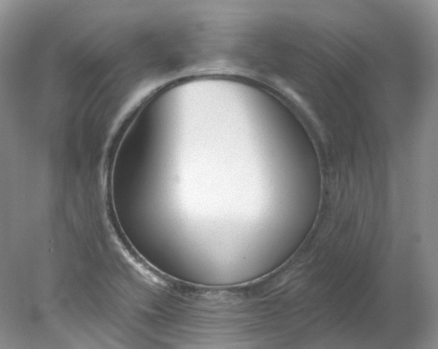 X0000078311416200611172203