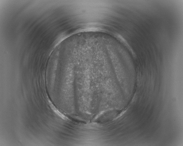 X0000078311417200611172203