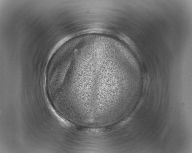 X0000078311418200611172203