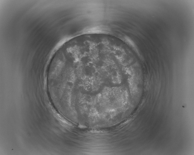 X0000078311419200611172203