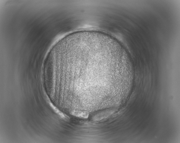 X0000078311421200611172203