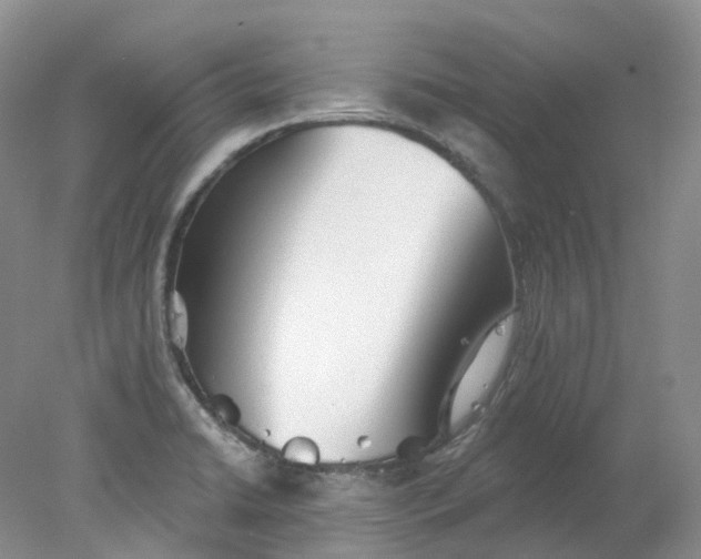 X0000078311422200611172203