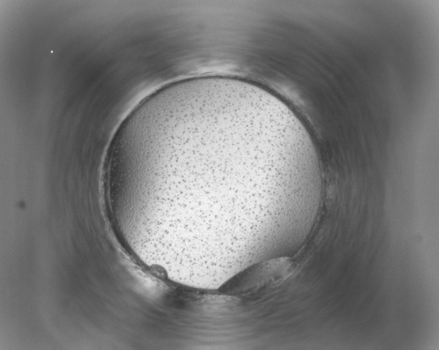 X0000078311423200611172203