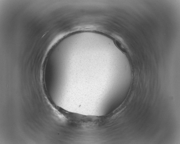 X0000078311424200611172203