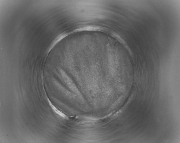 X0000078311425200611172203