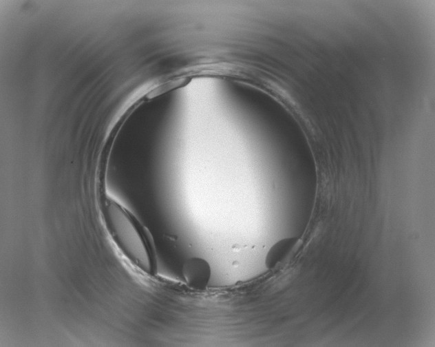 X0000078311426200611172203