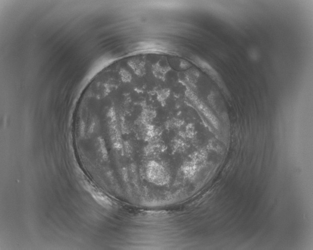 X0000078311427200611172203