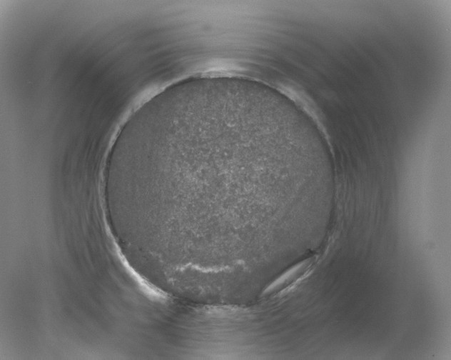 X0000078311429200611172203