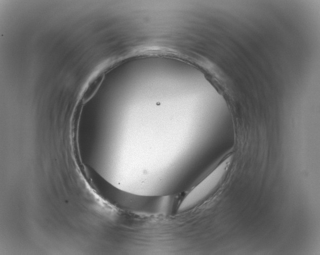 X0000078311430200611172203