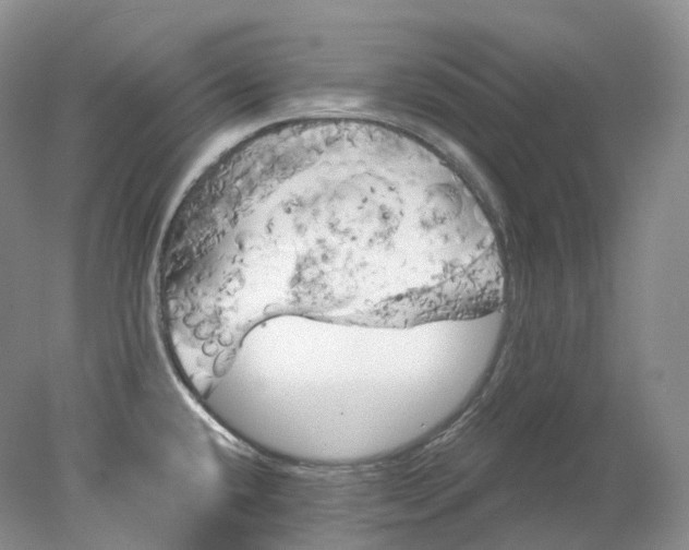 X0000078311432200611172203