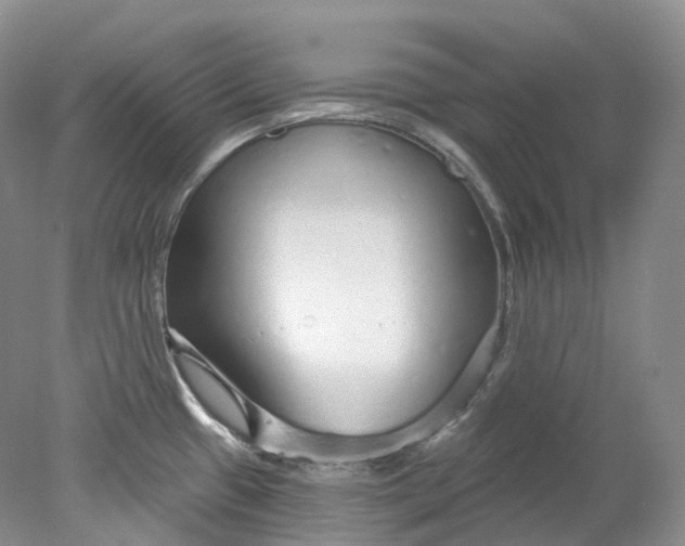 X0000078311433200611172203