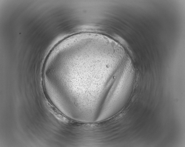 X0000078311435200611172203