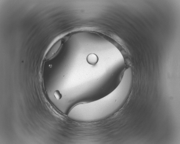 X0000078311436200611172203