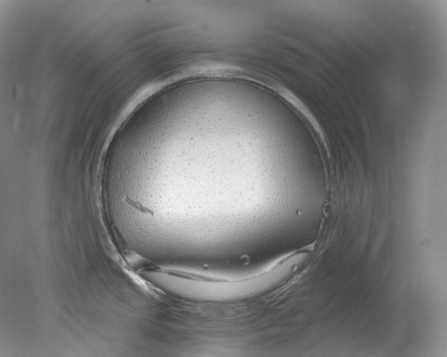 X0000078311437200611172203