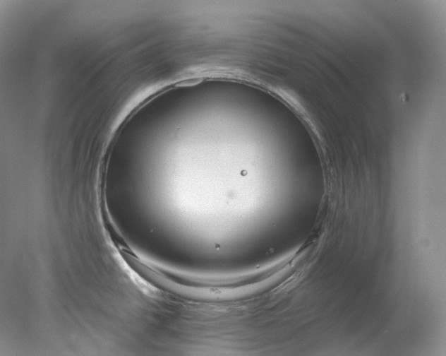 X0000078311438200611172203