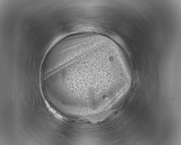 X0000078311439200611172203