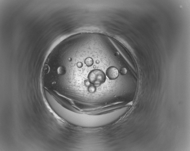 X0000078311440200611172203