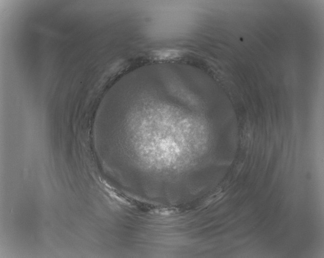 X0000078311441200611172202