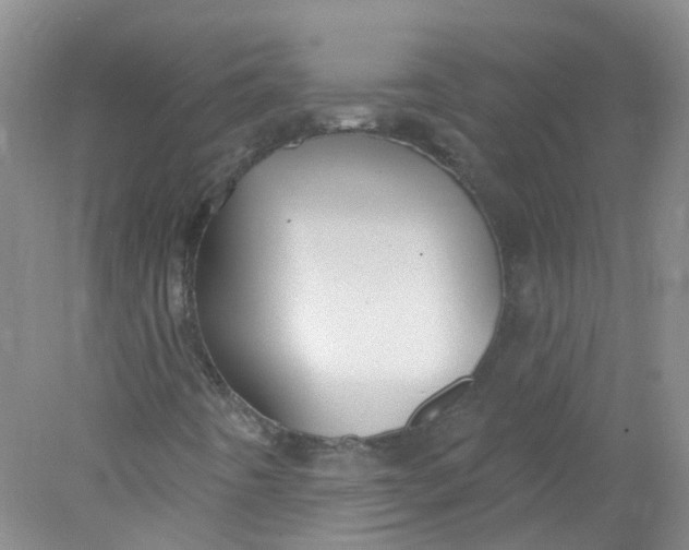 X0000078311442200611172202