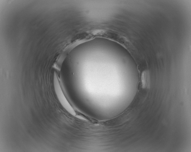 X0000078311443200611172202