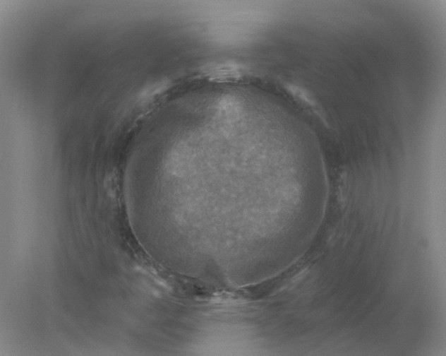 X0000078311445200611172202