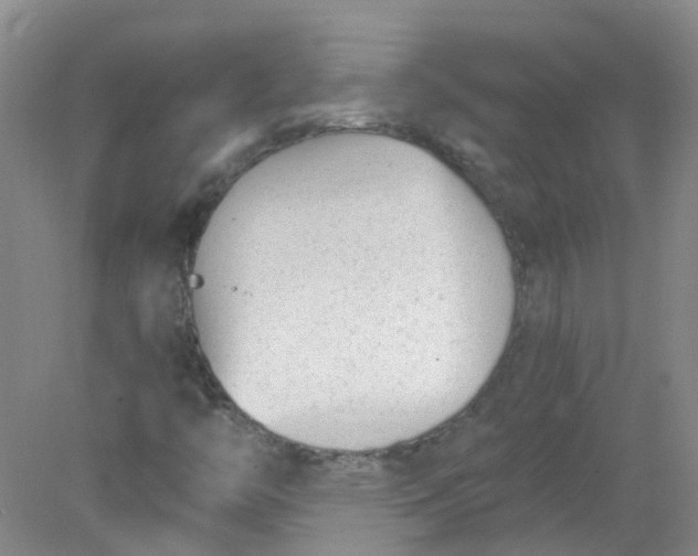 X0000078311446200611172202