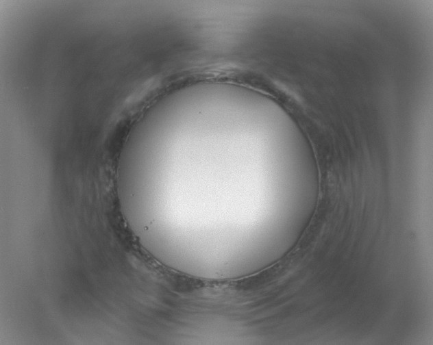 X0000078311447200611172202