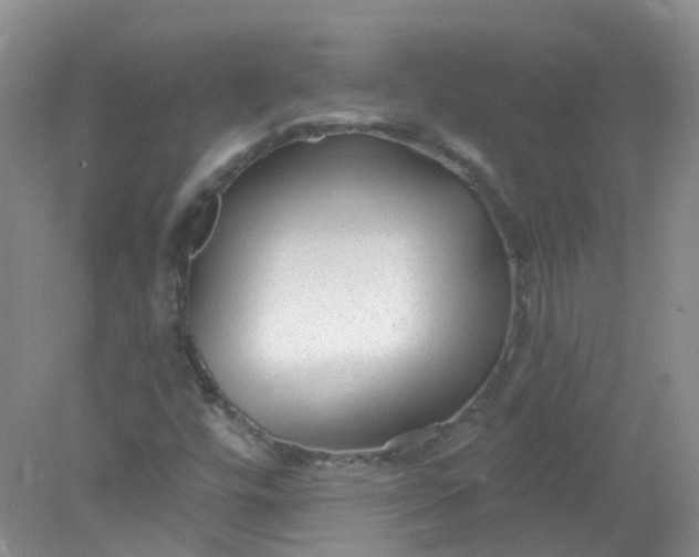 X0000078311448200611172202