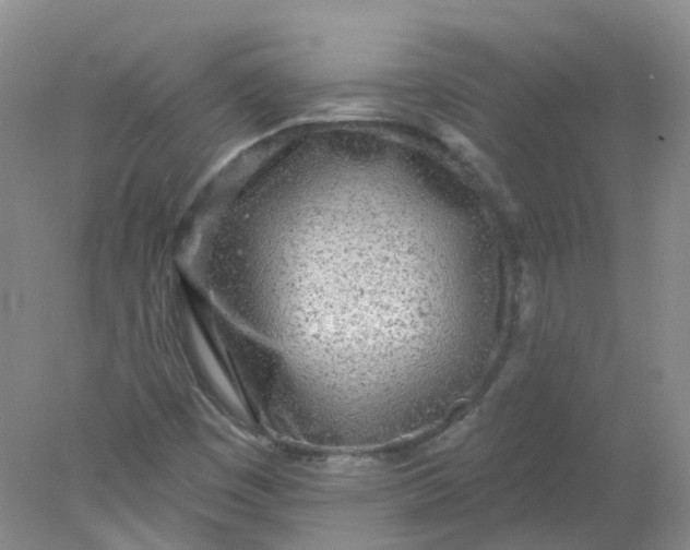 X0000078311449200611172202