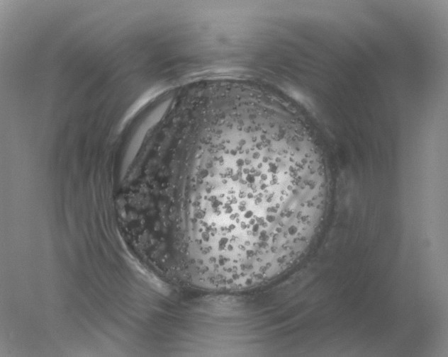 X0000078311450200611172202