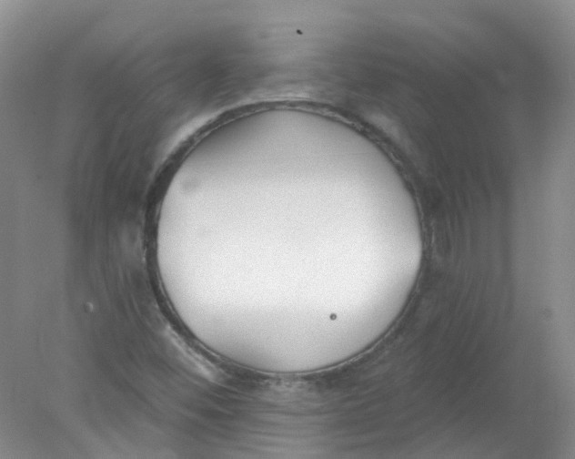 X0000078311452200611172202