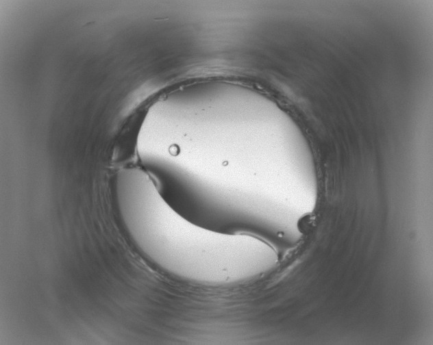 X0000078311453200611172202