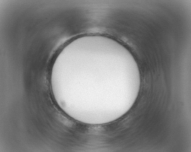 X0000078311454200611172202