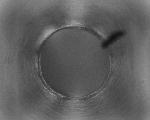 X0000078311455200611172202