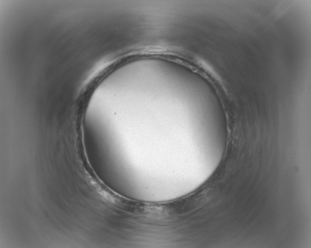 X0000078311456200611172202