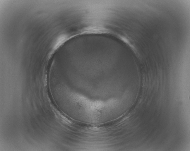 X0000078311459200611172202