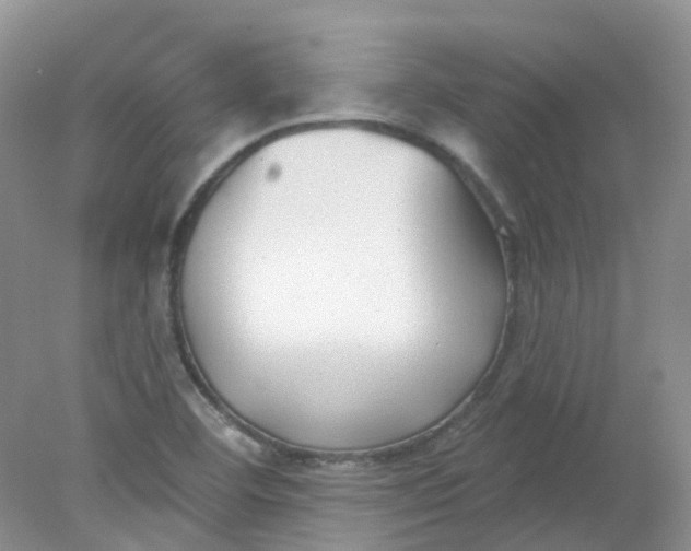 X0000078311460200611172202