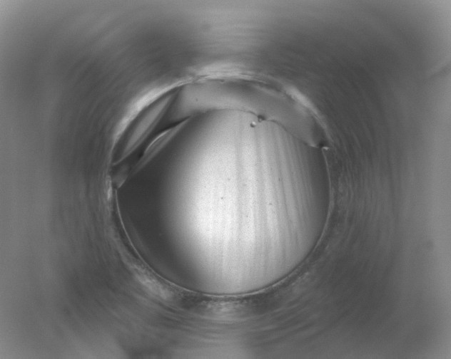 X0000078311461200611172202