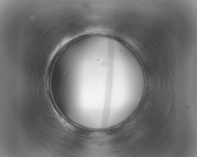 X0000078311462200611172202