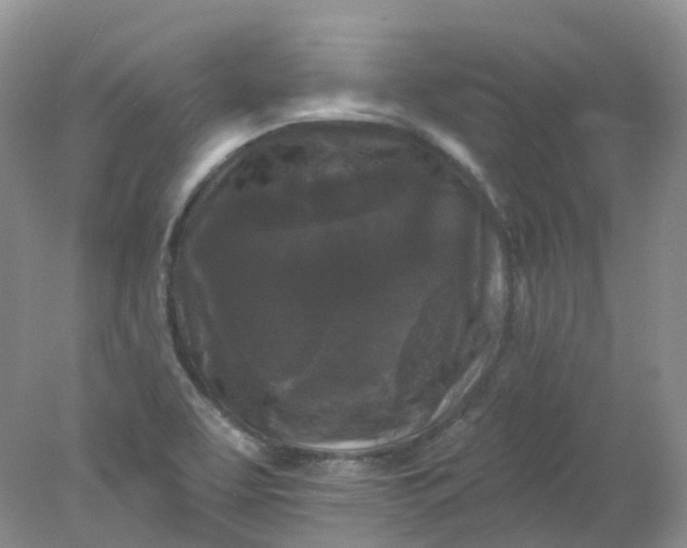 X0000078311463200611172202