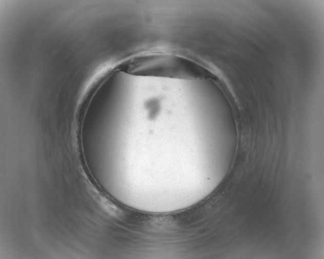 X0000078311464200611172202