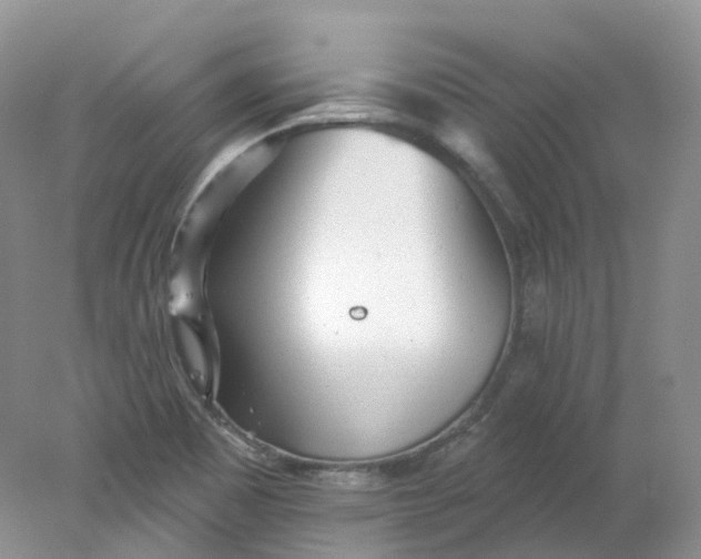 X0000078311465200611172202