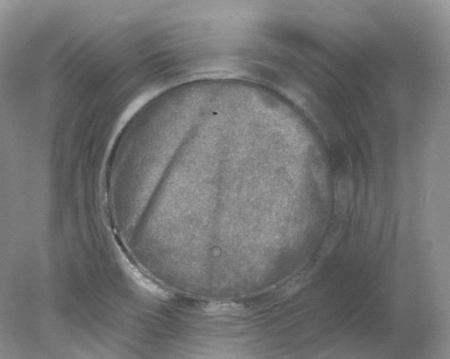 X0000078311466200611172202