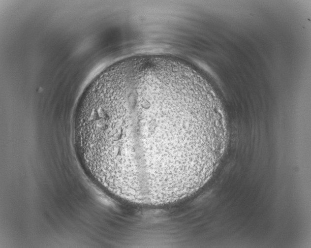 X0000078311467200611172202