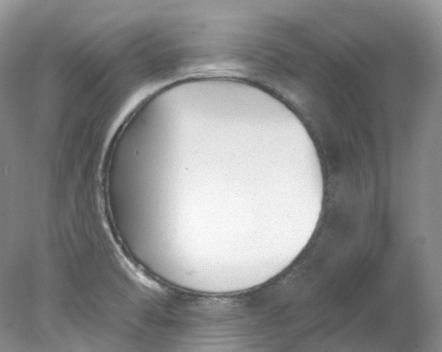 X0000078311470200611172202