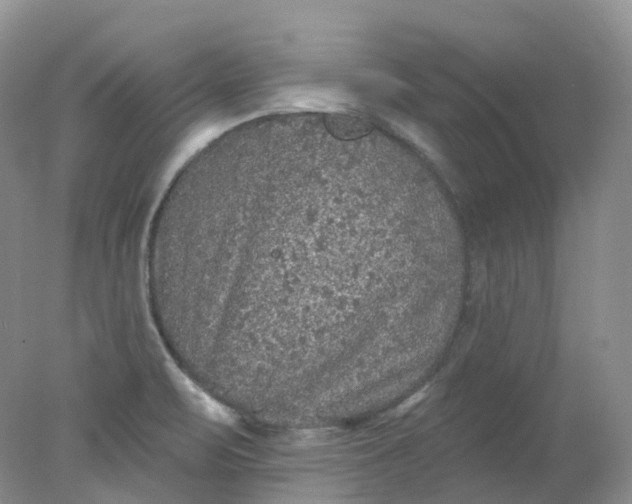 X0000078311471200611172202