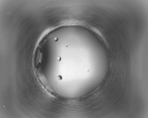 X0000078311472200611172202