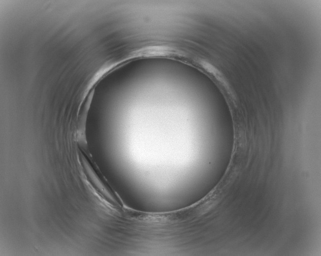 X0000078311473200611172202